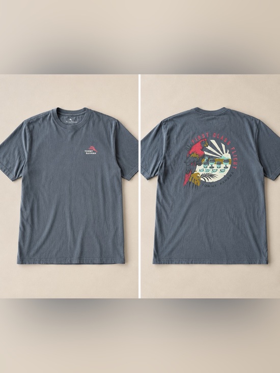 Tommy Bahama Other - Tommy Bahama Relax First Class Flight Graphic T Shirt Men’s XL Gray 100% Cotton